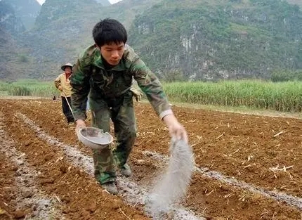 ���Ϸ�Ч�Ƕ�������ʩ�ʵķ�ʽ��