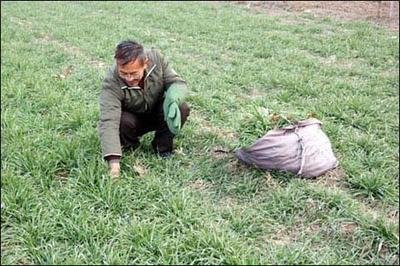 ����С�����ʩ����С����ʲôҪ����ˮ��