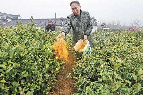 �Nֲ���~��Ҫ��ʲô���ϣ���ôʩ�ʣ�