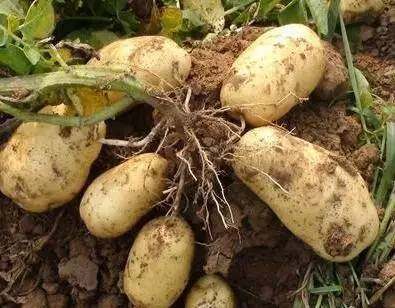 �R���ʲô�r��ʩ�~��ʣ�ԓ��·�ʩ��