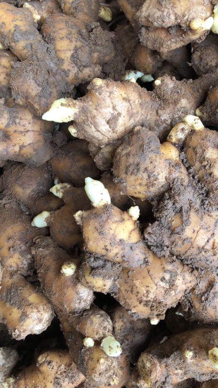 ���N����δ�ѿ�������N��ѿԓע����Щ���}��