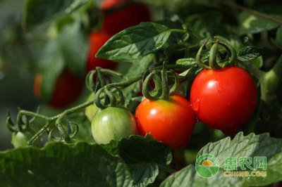 ������κ���ʩ�ʣ��ƌW(xu��)ʩ�}���h(yu��n)�xĚ������