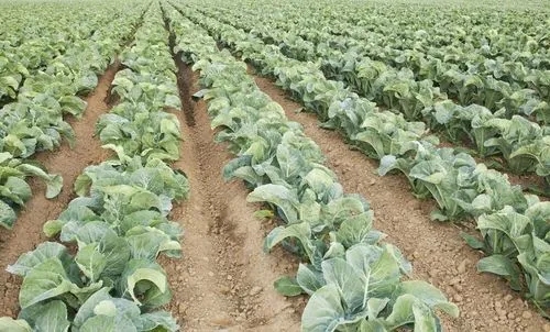 ��Ҭ�����ʩ�ʣ���Ҭ�˵ĸ߮aʩ�ʼ��g��