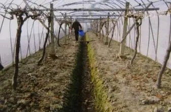 ���ѡ����ӷʡ�ʩ�ʕr�g��ʲô�r�����ʩ�ʣ�