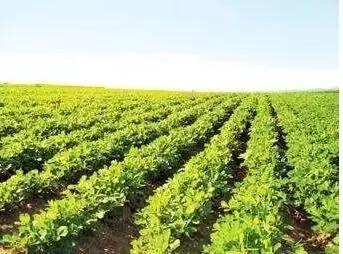 ������·�ʩ�~��ʣ�������������c��ʲô��