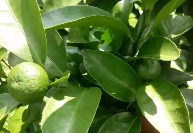 ������ʵ�������ʲô������ʩ���ʩ�ʼ��ɣ�