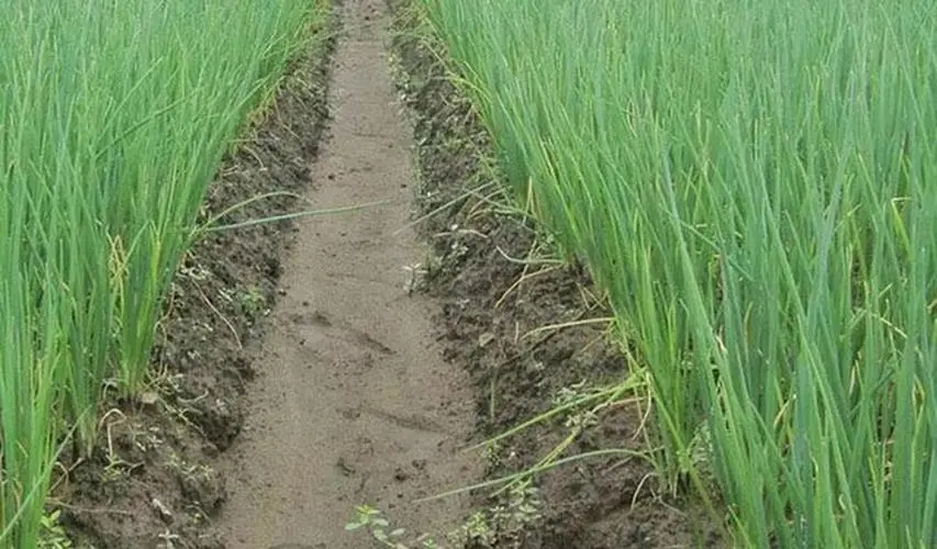 ���[���ʩ�ʣ����[ʩ��Ҫ�c����Щ��