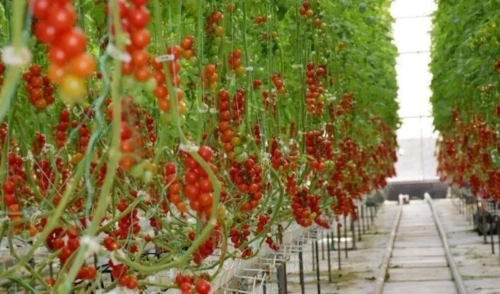 ���緬��ʲô�r�gʩ���ʺ���