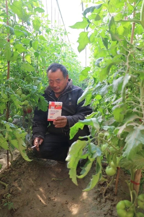 �������Nֲ��ײˌ��h������ЩҪ����