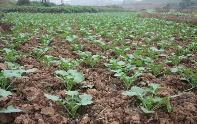 �Ͳ���·�ʩ��ʣ��Ͳ�ʩ���ע�����(xi��ng)��