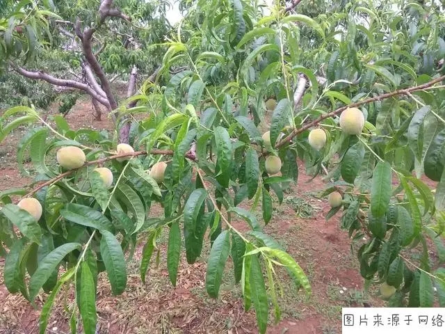 �Ҙ�(sh��)���Y(ji��)����ʲôԭ���������ԓ��ô�k��