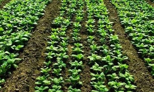 �������ʩ�ʣ�����������c��ʲô��