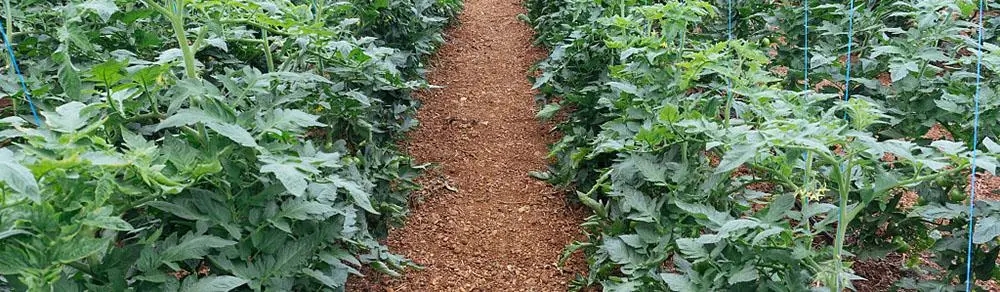 ��������ע����Щ���}�����ѷNֲ���g��