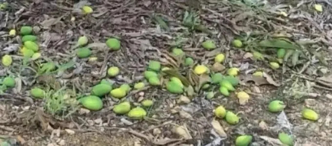 â���仨�����ԭ����ʲô������Щ���δ�ʩ��