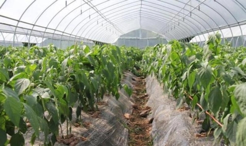 �������L(zh��ng)������ôʩ�ʣ�����ˮ�ʹ�������