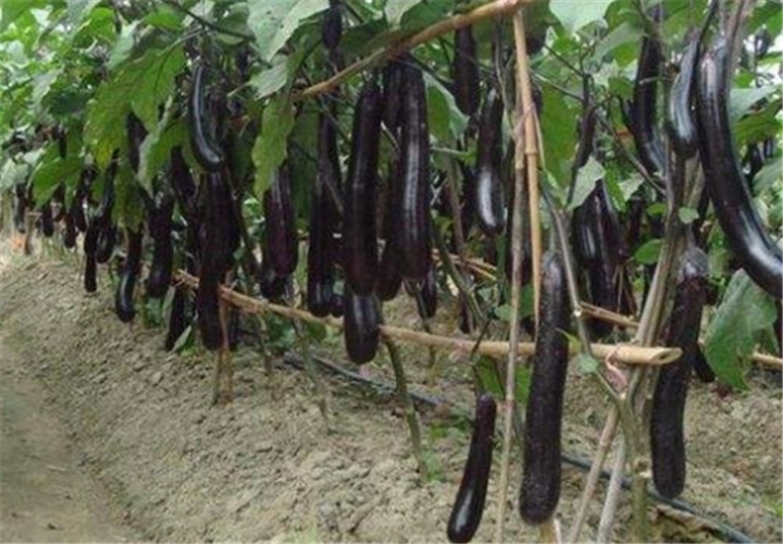 �ļ��������׷�ʣ��ļ�����׷�ʷ�������Щ��