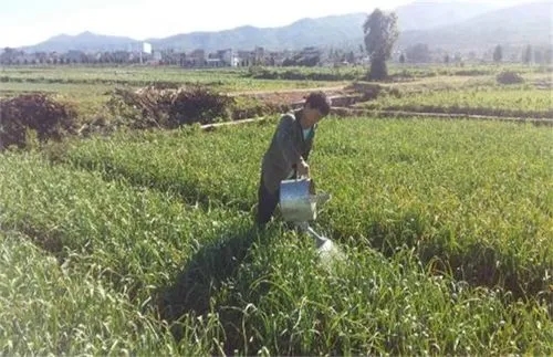 �������׷�������غ�߀�ǏͺϷʺã��������׷�ʵĽ��h