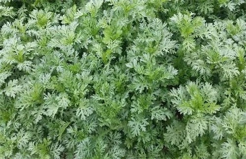 �������ʩ���ʣ�����׷�ʑ�ԓ���׷�߮a��