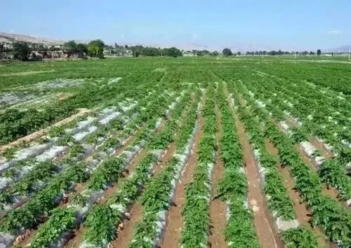 �R�����ͬ���L�ڵ�������c���R���ʩ��Ҫ�c��