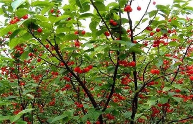 �������ʩ��������ʩ�ʹ������g��