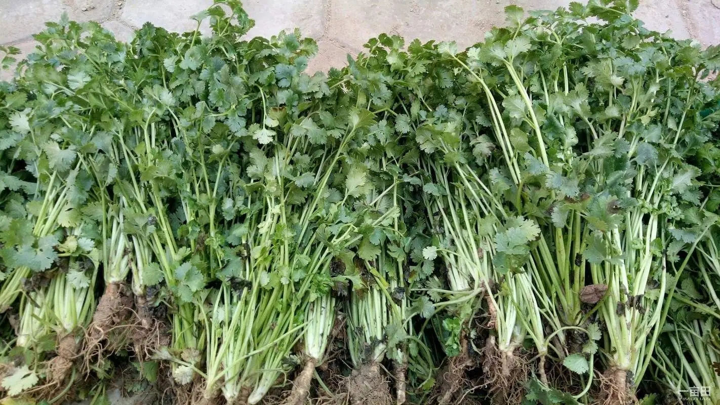 ������ʩ�ʣ���˵�ʩ�ʷ�����ʲô��