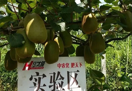 �J�������ʵ��ב�ԓ��ôʩ���J���Ҹ߮aʩ�ʷ���