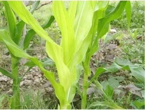 ����ȱ�\����ЩΣ����ԓ����a�\��һ���f�����