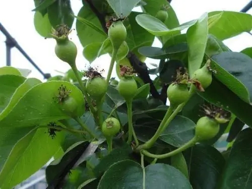 �����������ڑ�(y��ng)���ʩ�ʣ����ʩ���������ʣ�