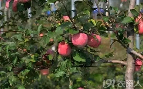 �O��ȱ⛻�⛷��^ʣ�İY��O�����ʩ⛷ʣ�