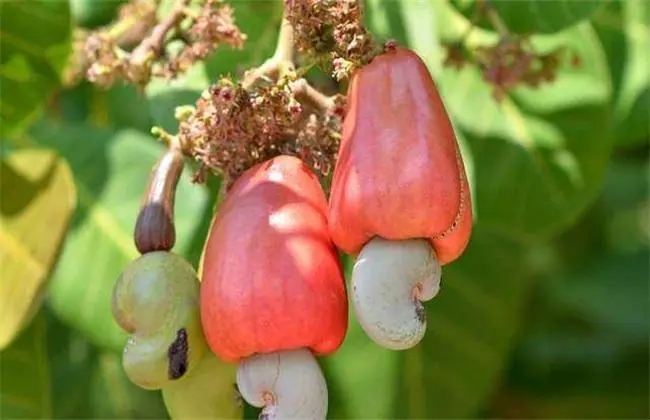 ������Ҫ��Щ�h�����أ������Nֲ���g��