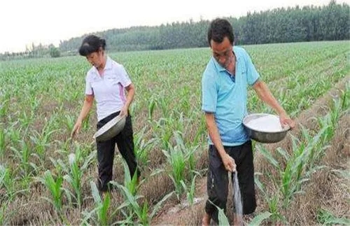 �������׷�ʣ�׷����ʲô���Ϟ�����