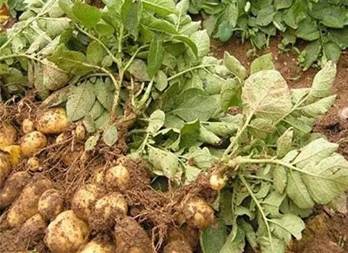 �������ʩ�ʣ� ��ʩ�ʷ�����ʲô��