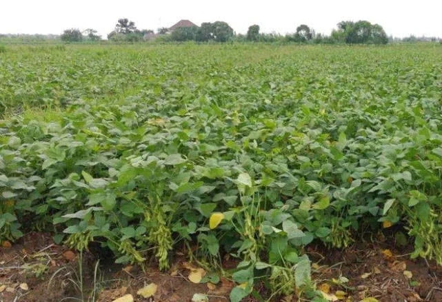 2022���ﶬ����Ҫ�r����ƌWʩ��ָ����Ҋ