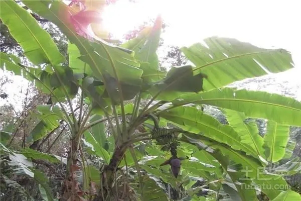 ���ص�6�����^��������߀�Ҳ���ʩ̫�ࣿ