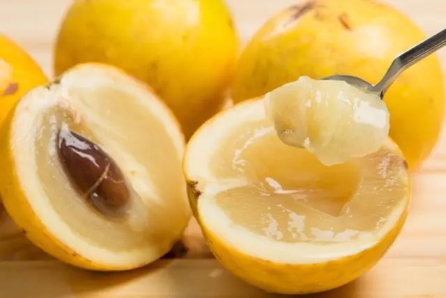 �S����ԓ��ηNֲ��ԓע����Щ�Nֲ���أ�