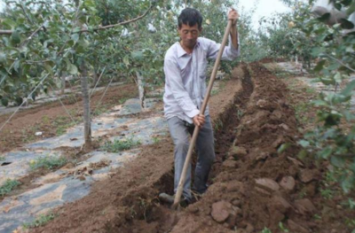 ������ʩ�ʡ������������x�������Y(ji��)�ϡ�