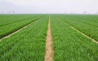 С�����N�r�g��С�����Nע�����