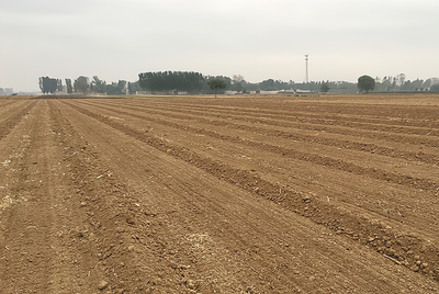 �ͺϷ��xُ��ô�k���ͺϷ��xُ�r���Ҋ�`�^��