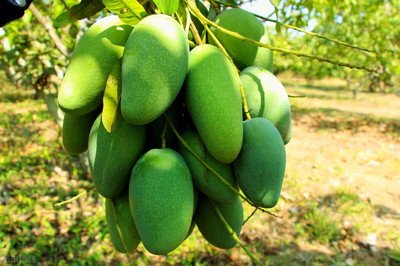 â�����պ�ԓ��ι�����â���Nֲ���g��