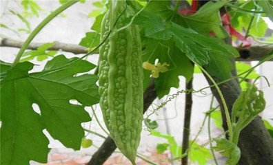 ����ڲ�ͬ���L�����ʩ�ʣ����ʩ�ʼ��g��