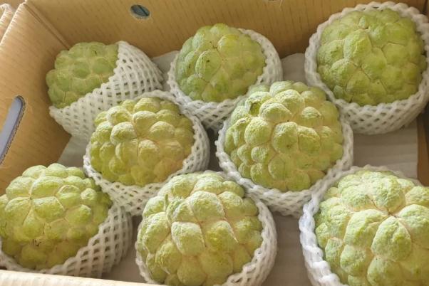 ��ȹ���ͬ���L(zh��ng)�����ʩ�ʣ���ȹ�ʩ�ʼ��g(sh��)��