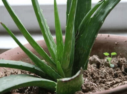 �J�C���ʩ�ʣ�����Щʩ�ʼ��ɣ�