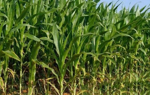 ˮ���������g������������ˮ�����׵Ĺ���������