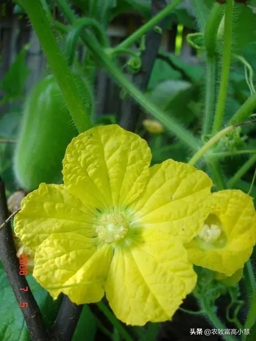 ����ʲô�r���ڷۣ������ڷ���ô����