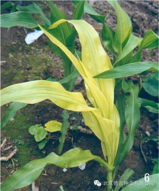 ����ȱ�ʰY�������ӵ�����η�������ȱ����