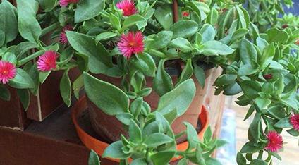 ĵ�����m��ô���ࣿĵ�����m�����༼�g