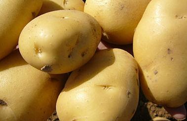 �R����~�ݲ��Y�����R����~�ݲ����η���