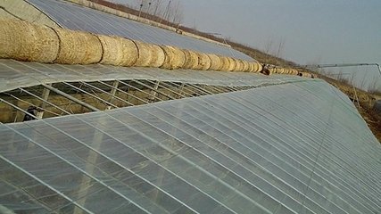 ������L(f��ng)������ĕ�(hu��)����