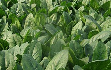 ���˸��Y���x������η��Σ�