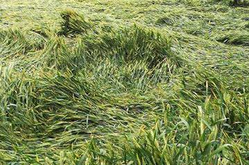 ����A��С��������С�������A������